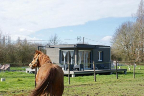 Cottage tout confort au milieu des chevaux